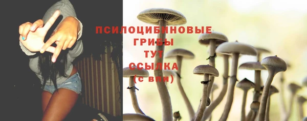 соль ск Алзамай