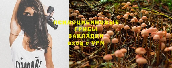 тгк Ростов