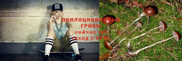 прущая мука Саяногорск