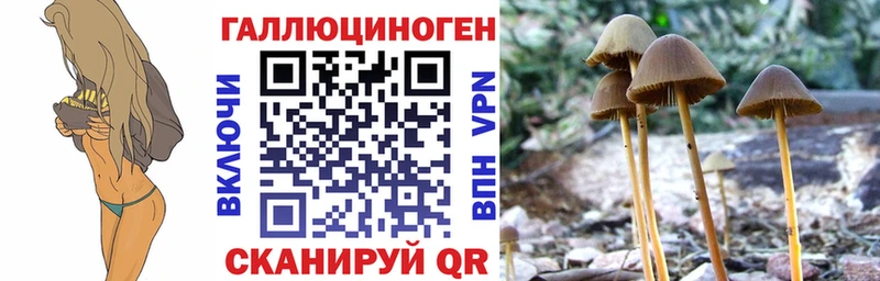 как найти закладки  Кондопога  Псилоцибиновые грибы мухоморы 